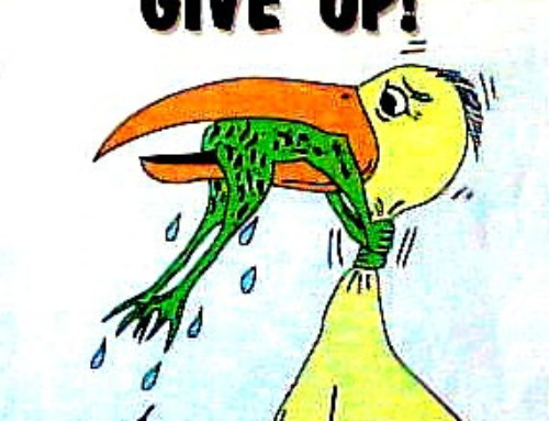 Don’t Ever Give Up